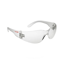 Honeywell 1028861 XV I/O Silver Lens Safety Specs [10]