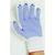 KeepSAFE  Pick & Go Dots On Palm Glove Blue